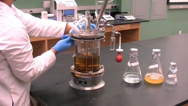 Fermentor - Part 1 смотреть онлайн