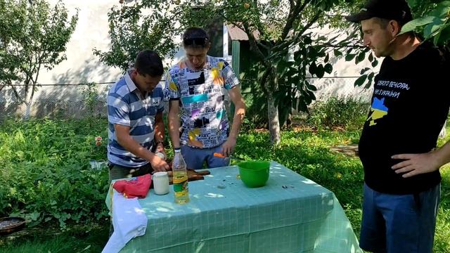 Грибна мачинка на сметані. смотреть онлайн