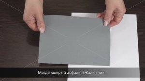 Магда мокрый асфальт (Жалюзник)