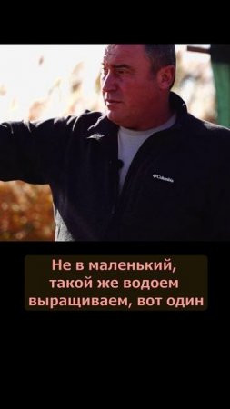 Как выращивают малька рыб.