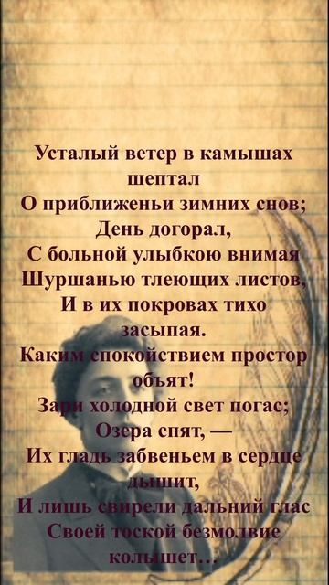 #shorts #стихи А.А.Блок — Усталый ветер в камышах шептал
