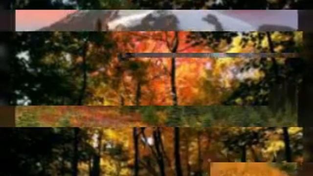 Осень🍁🍂 смотреть онлайн