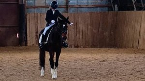 Василиса и Флейта, манежная езда 1.2, #horse #equestrian #лошади #pony