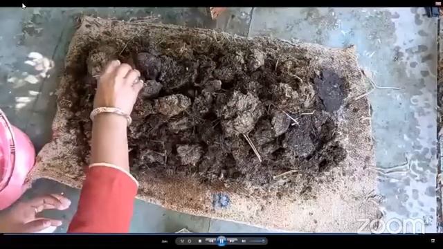 Cost effective mass cultivation of Trichoderma смотреть онлайн