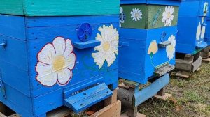 ИЗОЛЯЦИЯ МАТОК В ЗИМУ!!! часть. 2.  СЕМЬИ БЕЗ КЛЕЩА!!!  ОТВЕТЫ НА ВОПРОСЫ.