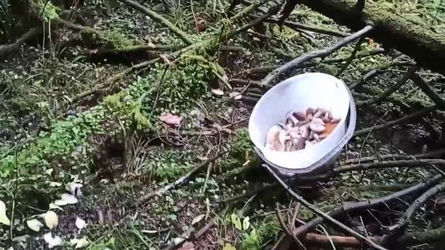 3 января 2023 г 6 смотреть онлайн