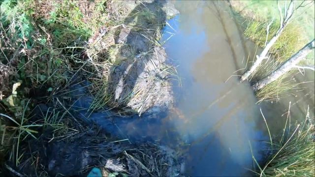 Непогода и бездонный сенник . Жизнь на хуторе. смотреть онлайн