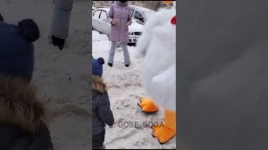 Поздравление Гусь-Обнимусь Тула