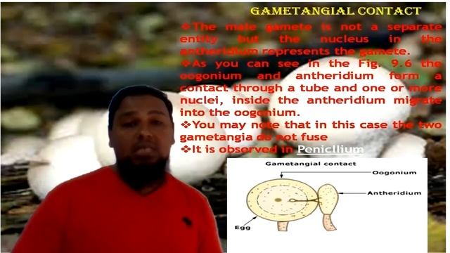 Biological Classification Class 11th NEET Day 18 смотреть онлайн