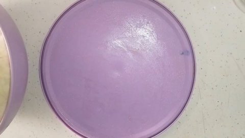 ПЫШНЫЕ ЛЕПЕШКИ НА МОЛОКЕ ИЗ ДРОЖЖЕВОГО ТЕСТА . ЖАРЕНЫЕ ПЫШКИ.