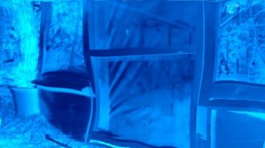 Аdvertising  Реклама Китикет Kitekat   Борис поймал пчелу In PowerLightBlueInvertFat