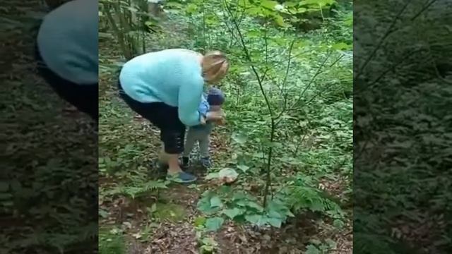 Собираем грибы в Москве! А вам слабо! смотреть онлайн