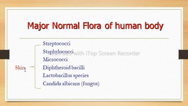 Microbiology - Normal flora (Microbiota) | Microbiome | Resident & Transient Microflora| KMU Nursin