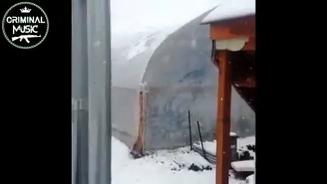 Лес в Голландии смотреть онлайн