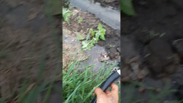 13 июня 2023 г. смотреть онлайн