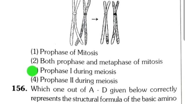 All India PMT PRE 2012 Biology Questions смотреть онлайн