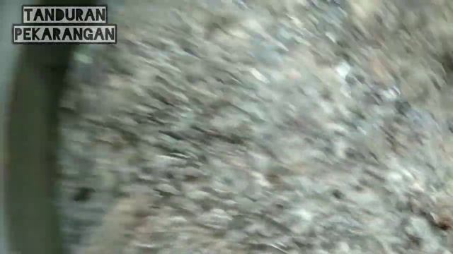 SATU MINGGU PERBANYAKAN JAKABA DIEMBER DENGAN AIR CUCIAN BERAS LAMA PLUS AIR KELAPA смотреть онлайн