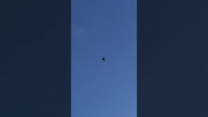 СВГ Голуби,вечерняя тренировка