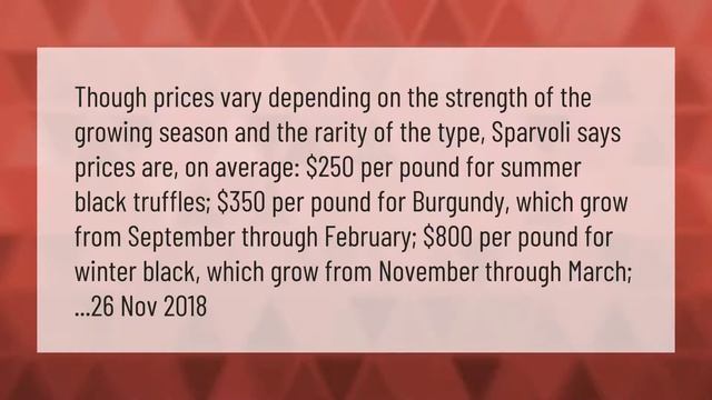 Where do Truffles grow in the United States? смотреть онлайн