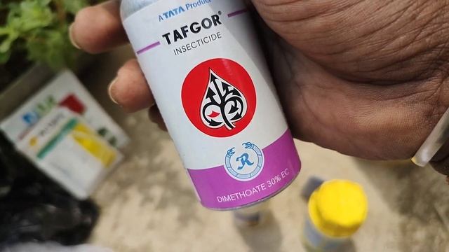 টবে জবা ফুল গাছের পরিচর্যা ও রোগ নিরাময় | hibiscus plant care and disease control смотреть онлайн