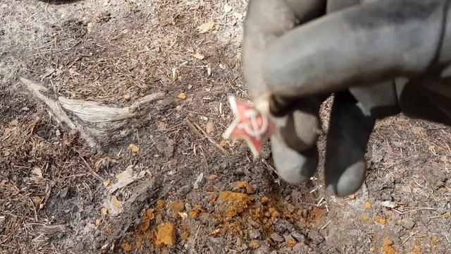 Очередная разведка.Находки и дары леса смотреть онлайн