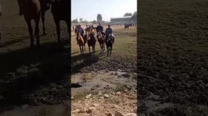 Бузкаши дар ш Хисор 09.10.2022 #бузкаши #таджикистан #кулоб #хисор