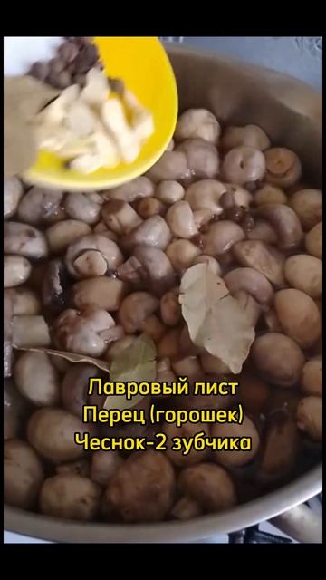 Маринованные грибы смотреть онлайн
