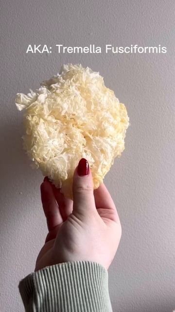 What is a snow mushroom (tremella mushroom)? смотреть онлайн
