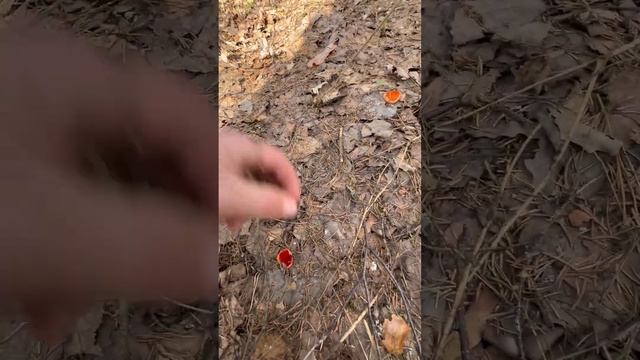 Инструкция, как делать не надо смотреть онлайн