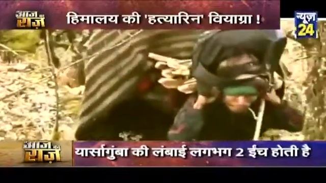 Cordyceps cap смотреть онлайн