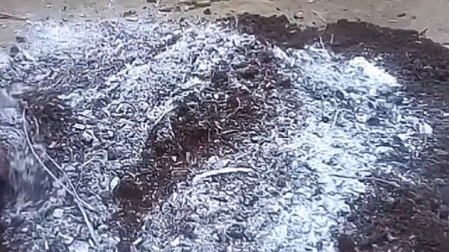 ट्राइकोडर्मा गोबर की खाद में कैसे मिलाएं।How to mix with trichoderma dung manure смотреть онлайн