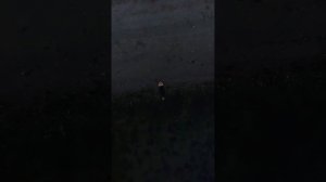 "Срез временной коры"- Натали Загоряну. Философская лирика.