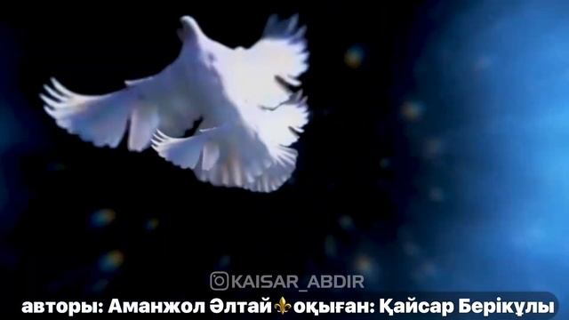 БІР БАҚЫТ-авторы: АМАНЖОЛ ӘЛТАЙ/оқыған:ҚАЙСАР БЕРІКҰЛЫ (қазақша поэзия-2020) Аманжол Алтаев/АЙТЫСКЕ
