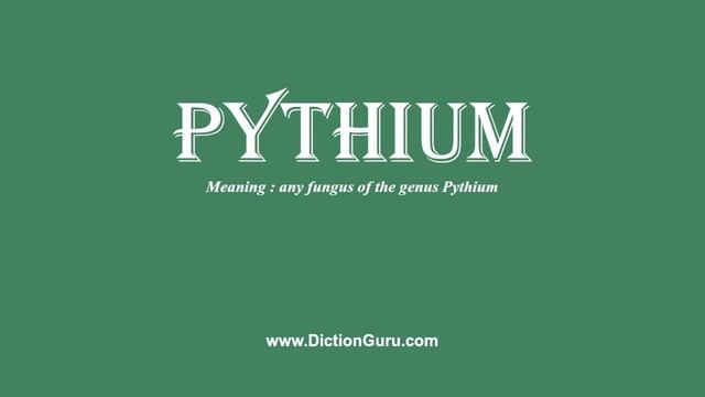 pythium: Pronounce pythium with Phonetic, Synonyms and Examples