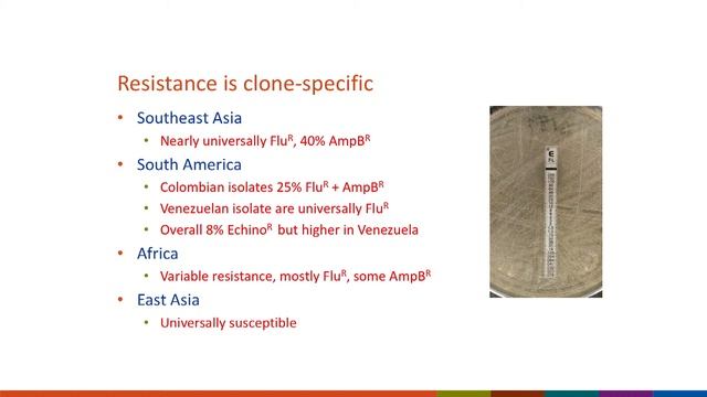 MSGERC 2018: Candida: Tom Chiller смотреть онлайн