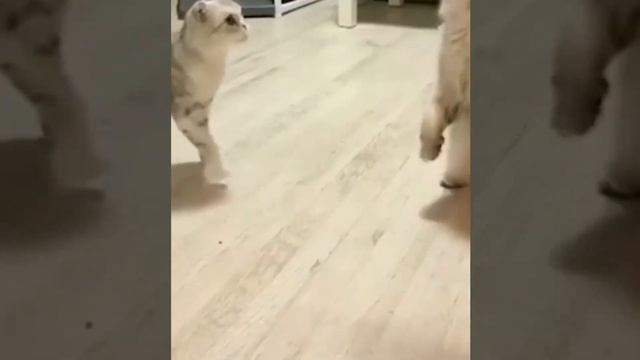 Любимые и смешные. смотреть онлайн