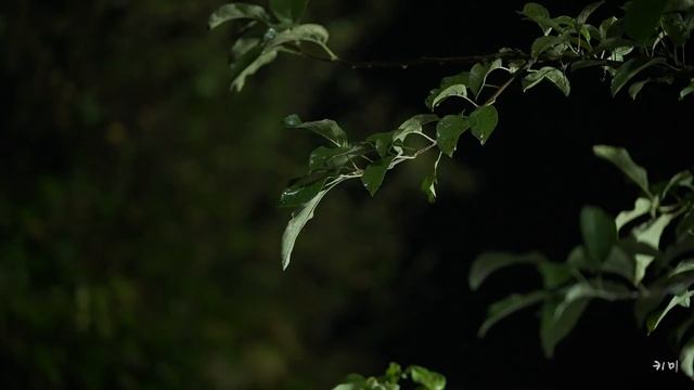 그때 그 시절, 집으로 🚗 смотреть онлайн