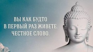 Как пережить сложные ситуации. Поиск смысла жизни: осознанность, духовность, источник вдохновения