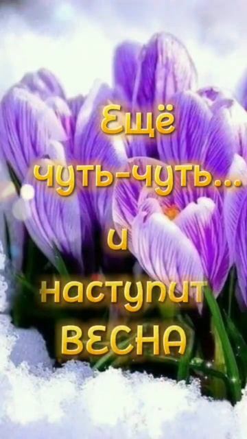 #скоровесна #хорошийдень #счастье #открытки