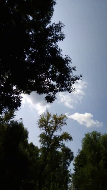 Вспомним лето моё личное стихотворение