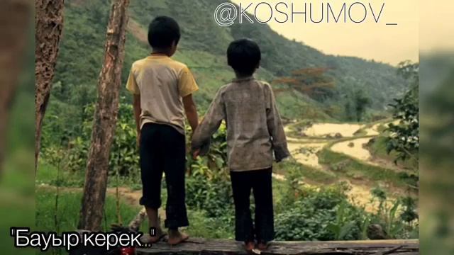 Бауыр керек смотреть онлайн