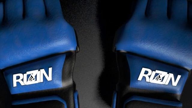 RIZIN Open Weight GP 2016 Fan-Art Opening "Cage Is Your World" смотреть онлайн