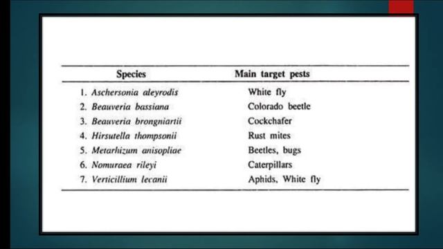 lecture on use of fungi as biocontrol agent смотреть онлайн