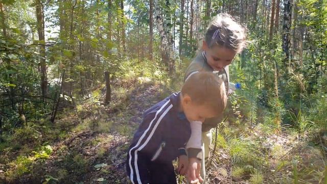 Детский ВЛОГ | Дима и Маша пошли за грибами, но нашли совсем не грибы смотреть онлайн
