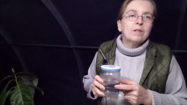 Як виготовити біопрепарати для захисту рослин в домашніх умовах.