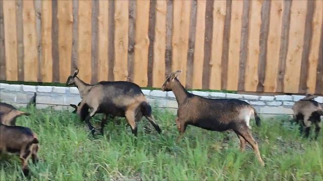 дело было летом смотреть онлайн