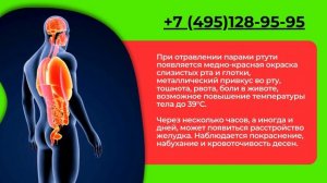 Разбили ртутный градусник? Не беда, мы поможем выявить и убрать ртуть. Демеркуризация.