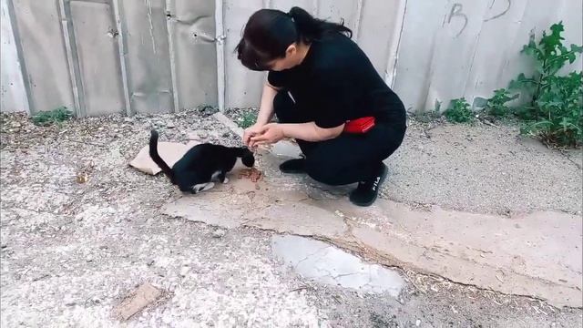 Сидела около магазина и все проходили мимо | накормили очень голодную кошечку. #бездомныекошки