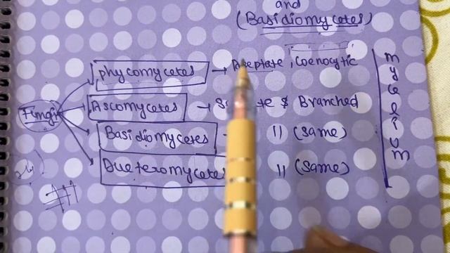 Kingdom Fungi  Biological Classification Class 11th Biology For NEET