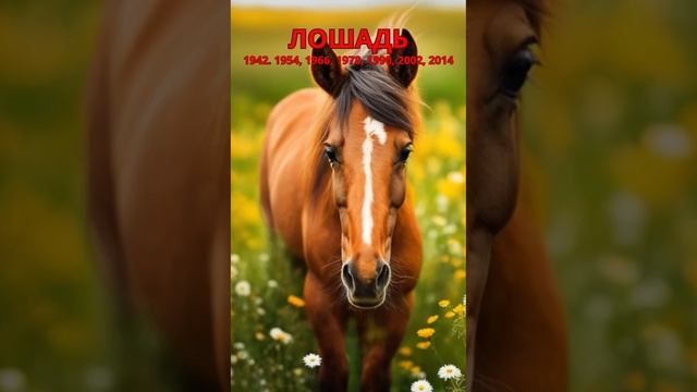 Денежный гороскоп на вторую половину Июня 2024 #shorts #гороскоп #money